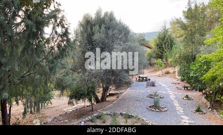Accogliente silenziosa cabina di montagna isolata in estate. Circondato da alti alberi di pino verde. Bel portico di fronte. Foto Stock