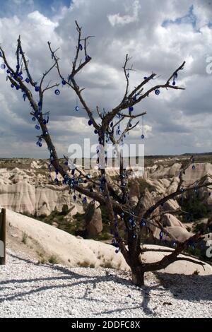 Bella Cappadocia, incredibile sito patrimonio naturale di camini delle fate. Albero morto essiccato con perline blu malvagie che pendono sui rami. Foto Stock
