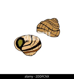 Escargot tracciato a mano vettoriale. Piatto di cucina francese con lumache. Design elemento di schizzo per menu cafè, bistrot, ristorante, etichetta e imballaggio. Illu colorato Illustrazione Vettoriale