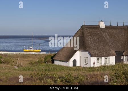 Geografia / viaggio, Germania, Schleswig-Holstein, Isle Sylt, Friesenhaus at watt, Munkmarsch, Sylt, Additional-Rights-Clearance-Info-not-available Foto Stock