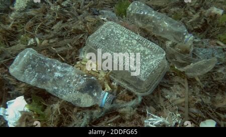Massiccio inquinamento plastico del fondo oceanico. Fondo marino coperto con un sacco di rifiuti di plastica. Bottiglie, sacchetti e altri detriti di plastica sul fondo marino di Medit Foto Stock