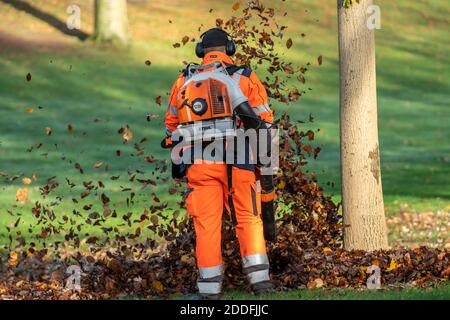 Soffiatore di foglie, rimozione di foglie d'autunno in un parco cittadino, Foto Stock