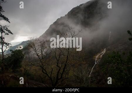 Autunno nebbioso paesaggio con alberi e fitta vegetazione, foglie colorate e una cascata, in una giornata foggosa Foto Stock