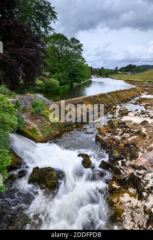 Fiume Wharfe & Weir in campagna panoramica - bassa acque poco profonde in estate secca, rocce sul letto del fiume esposto - Grassington, North Yorkshire, Inghilterra, Regno Unito. Foto Stock