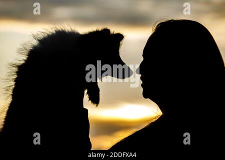 Silhouette donna e cane su nuvole al tramonto Foto Stock