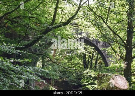 Viadotto di Teffry, Valle di Luxulyan 100920 Foto Stock