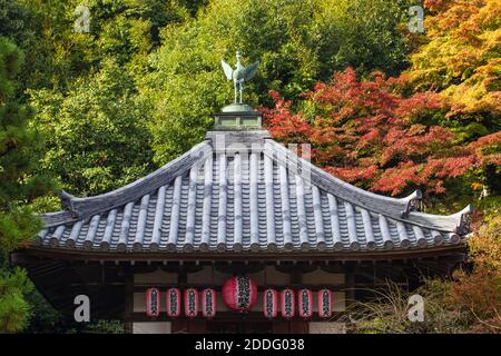 Giappone, Kyoto, Arashiyama, Tempio Nison-in, tetto e autunno fogliame Foto Stock