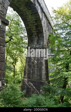 Viadotto di Teffry, Valle di Luxulyan 100920 Foto Stock