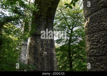 Viadotto di Teffry, Valle di Luxulyan 100920 Foto Stock