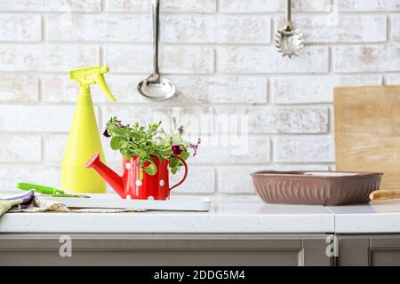 Attrezzi di giardinaggio differenti in cucina Foto Stock