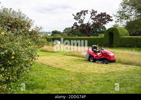 Riducendo progressivamente l'altezza di un prato di fiori selvatici a. La fine dell'estate in un giardino inglese nel Regno Unito Foto Stock