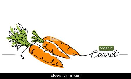 Illustrazione vettoriale carota, sfondo. Un disegno di linea illustrazione dell'arte con la lettera carota organica Illustrazione Vettoriale