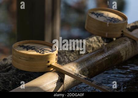 Primo piano dettaglio di una ciotola chozubachi, 手水鉢, o acqua, usata per sciacquare le mani nel santuario di Himuro Jinja a Nara, Giappone Foto Stock
