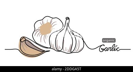 Illustrazione vettoriale aglio, sfondo. Illustrazione di un disegno di linea con l'aglio organico della scritta Illustrazione Vettoriale