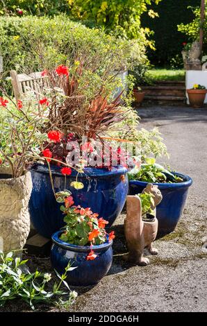 Una collezione informale di piantatrici in fiore in un giardino anteriore Nel Regno Unito Foto Stock