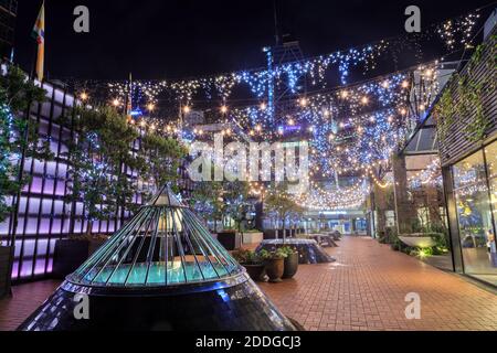 Te Ara Tahuhu Walkway, un centro commerciale pedonale nel Britomart Precinct, Auckland, Nuova Zelanda, illuminato con illuminazione ornamentale di notte Foto Stock