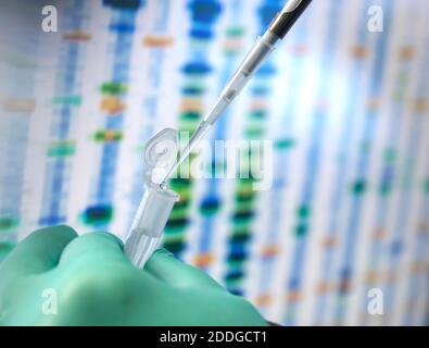 DNA Sciences, Scientist pipettando un campione in una fiala pronta per l'analisi automatizzata in laboratorio di età con i risultati del DNA sullo schermo Foto Stock
