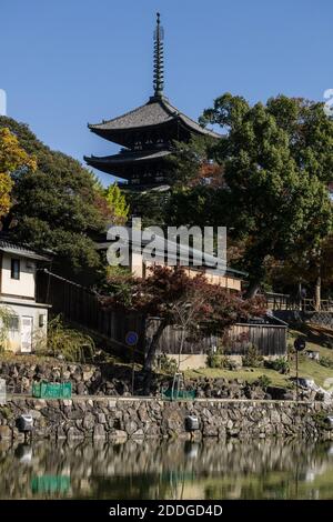 La Pagoda a cinque piani del tempio di Kofuku-ji a Nara, Giappone, sorge sugli alberi vicino allo stagno di Sarusawa nel centro della città in una giornata di sole Foto Stock