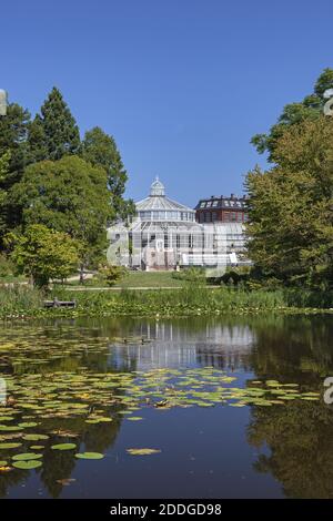 Geografia / viaggio, Danimarca, Copenaghen, giardino botanico a Copenhagen, diritti aggiuntivi-clearance-Info-non-disponibile Foto Stock