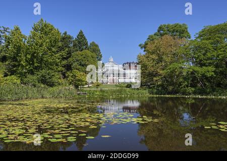 Geografia / viaggio, Danimarca, Copenaghen, giardino botanico a Copenhagen, diritti aggiuntivi-clearance-Info-non-disponibile Foto Stock