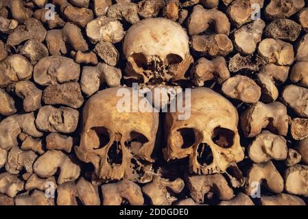Pila di teschi e ossa nelle catacombe di Parigi, Francia Foto Stock