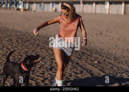 Donna proprietaria con palla giocattolo che gioca con Labrador Retriever nero durante la corsa lungo la spiaggia di sabbia in estate Foto Stock