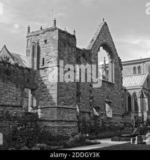 Parte delle rovine degli arcivescovi di York's Southwell Palace di motivi di Southwell Minster, Nottinghamshire Foto Stock