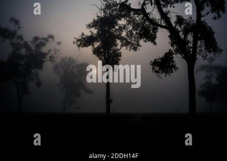 Le montagne della foresta pluviale Evergreen catturate durante una mattinata in anticipo al Kaziranga National Park, Assam, Nord-est, India. Foto Stock