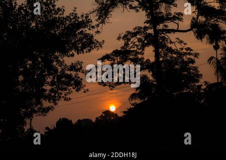 Le montagne della foresta pluviale Evergreen catturate durante una mattinata in anticipo al Kaziranga National Park, Assam, Nord-est, India. Foto Stock