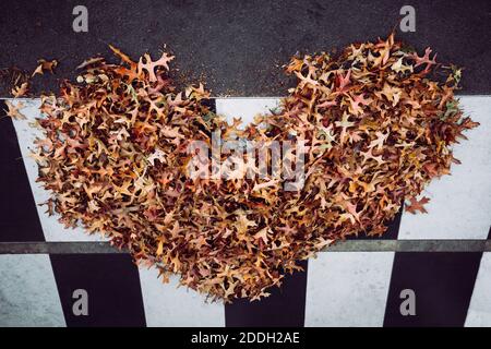 Foglie naturalmente disposte a forma di cuore dal vento. Foto Stock