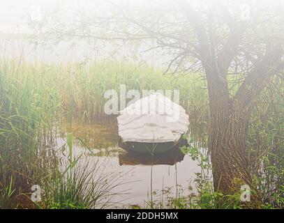 Barca coperta sull'acqua, nella bufera - canna - vicino ad un albero durante una giornata di nebbia. Foto Stock