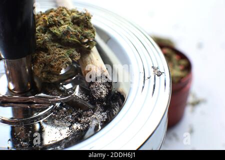 Ramo di cannabis e giunto sul posacenere. Legalizzazione della marijuana. Cannabis medica. Tossicodipendenza. Foto Stock