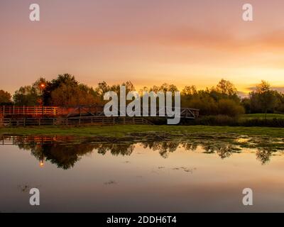 Un'alba arancione e rosa, con alberi riflessi sulle acque alluvionali di fronte a un ponte di legno. Foto Stock