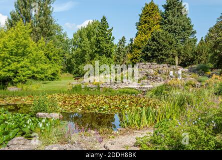 Giardino calcareo presso il Cambridge University Botanic Garden, Inghilterra, Regno Unito Foto Stock