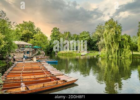 Battendo le barche sul fiume Cam presso la città universitaria mediavale di Cambridge, Inghilterra Foto Stock