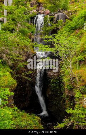 Una vista delle Cascate Victoria nella Foresta di Slattadale sulle rive del Loch Maree nel nord ovest della Scozia. Giugno. Foto Stock