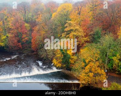 Colori autunnali intorno alla stramazzo attraverso il fiume Nidd a. Castle Milld dal Castle Top a Knaresborough North Yorkshire Inghilterra Foto Stock