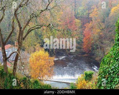 Colori autunnali intorno alla stramazzo attraverso il fiume Nidd a. Castle Milld dal Castle Top a Knaresborough North Yorkshire Inghilterra Foto Stock