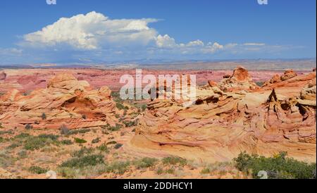 Formazioni rocciose colorate a Coyote Buttes Sud vicino Kanab Foto Stock