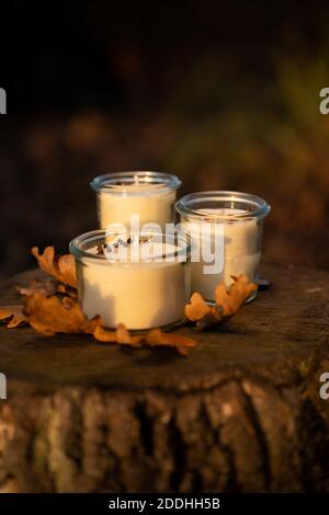 Candele di soia fatte a mano presentate nella natura durante il tramonto Foto Stock
