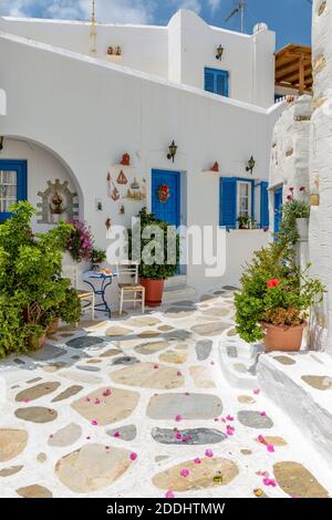 Pittoresco vicolo di Prodromos Paros isola greca con case bianche tradizionali con porta blu e fiori dappertutto !!! Foto Stock