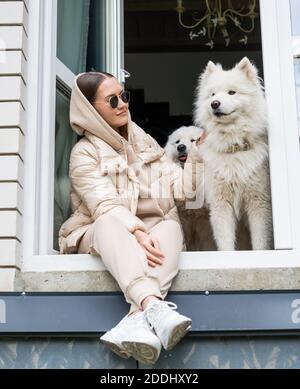 Cute shot dei due cani razza samoyed seduta sul davanzale, insieme con il loro bel proprietario adorabile brunette. Foto Stock