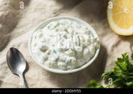 Salsa Tzatziki greca fatta in casa con aneto e cetriolo Foto Stock