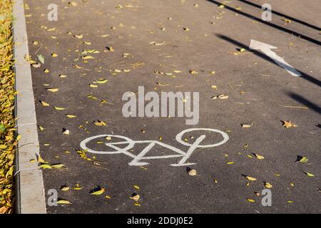bicicletta simbolo tracciata su un percorso ciclabile asfaltato con marcature disseminate di foglie gialle in una giornata di sole in autunno, primo piano di un cartello stradale a terra, Foto Stock