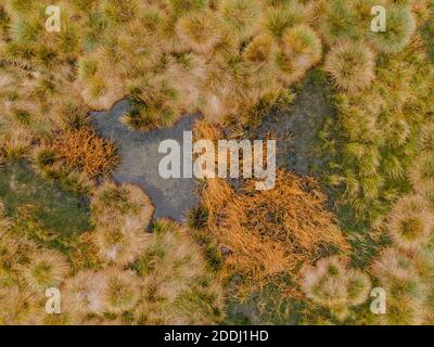 Vista aerea del modello di torba con il lago, mossi verdi arancioni nel Parco Nazionale di Sumava, repubblica Ceca. Paesaggio aereo colorato. Vista dall'alto del drone Foto Stock