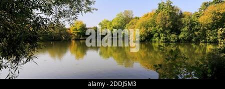 Vista estiva sul lago Stanborough Park, Welwyn Garden City, Hertfordshire, Inghilterra Foto Stock