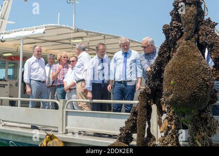 Didier Guillaume, ministro francese dell'Agricoltura, visita l'insediamento della società di molluschi, la Rochelle, Francia. Foto di Arnault SERRIERE / ABACAPRESS Foto Stock
