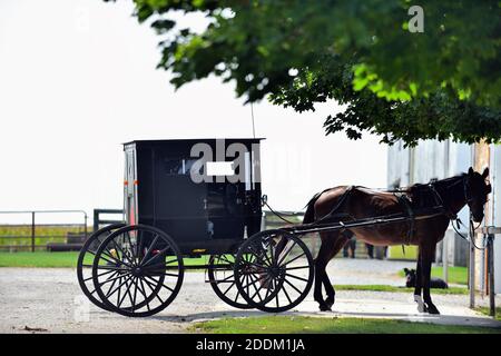 Arthur, Illinois, Stati Uniti. Una carrozza trainata da cavalli legata ad un posto di aggancio attende il suo proprietario fuori di una casa Amish e fienile fuori di una strada rurale. Foto Stock