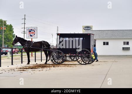 Arthur, Illinois, Stati Uniti. Le carrozze trainate da cavalli Amish aspettano i loro proprietari in un parcheggio del negozio. Foto Stock