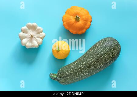 Raccolta di verdure diverse coloratissime zucca, zucchine, zucca pattypan su sfondo blu. Vista dall'alto, disposizione piatta. Foto Stock
